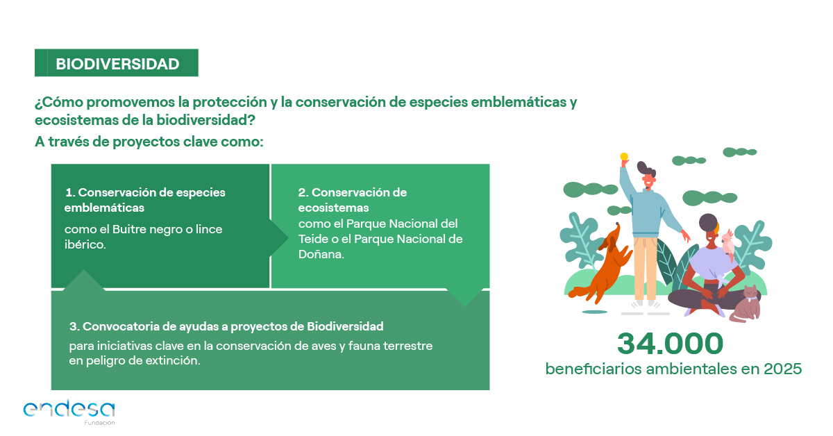 FundacionEndesa's tweet photo. 🦅 En 2025, ¡nuestros proyectos de #Biodiversidad alcanzaron a cerca de 34.000 beneficiarios!

Este 2026 seguimos trabajando con entidades especializadas para proteger especies emblemáticas como el lince ibérico o el buitre negro y conservar los ecosistemas de parques nacionales. https://t.co/bjeaoET4pn