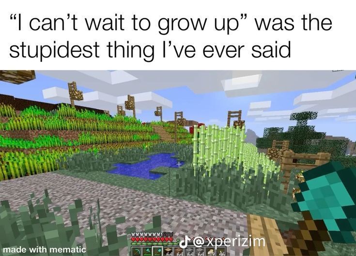 Enderman tweet media