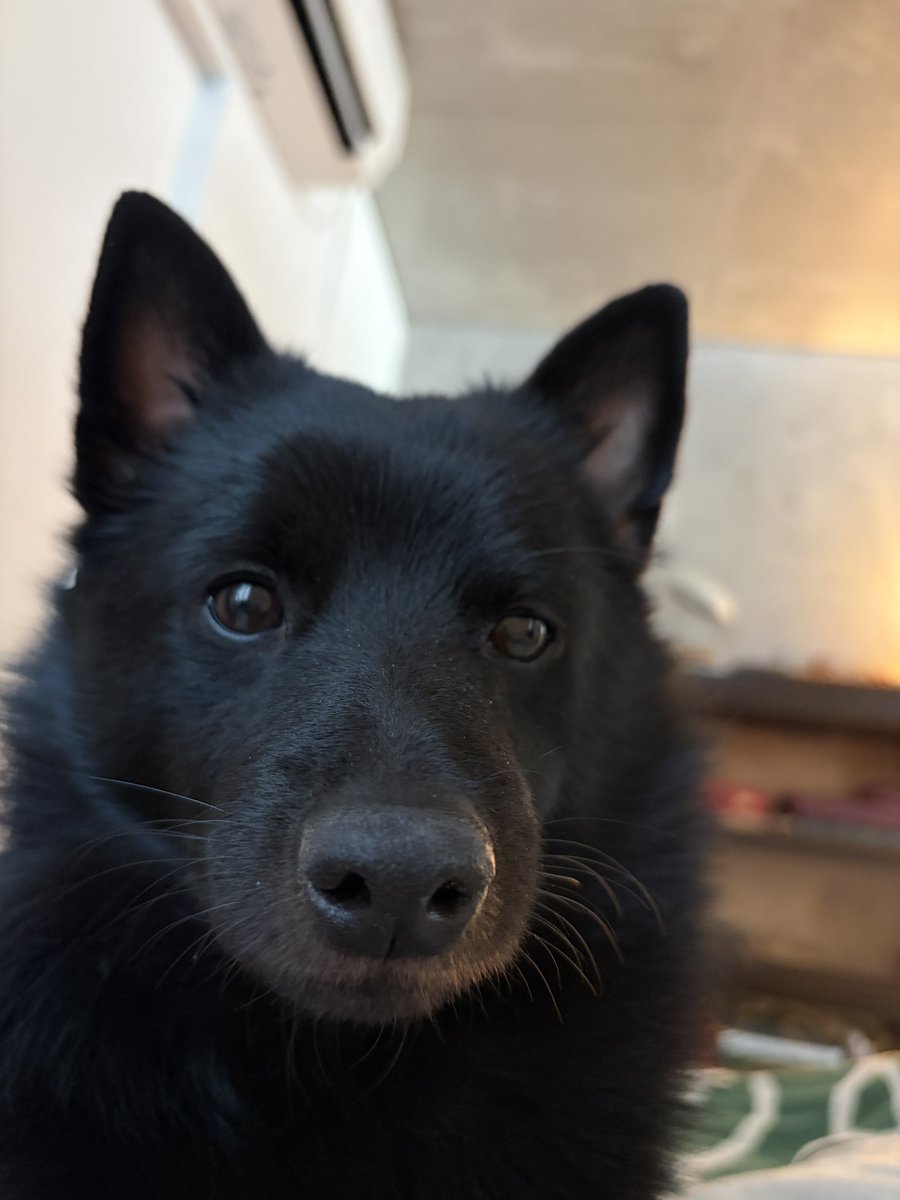 👾 0xPurpleTrencher tweet media