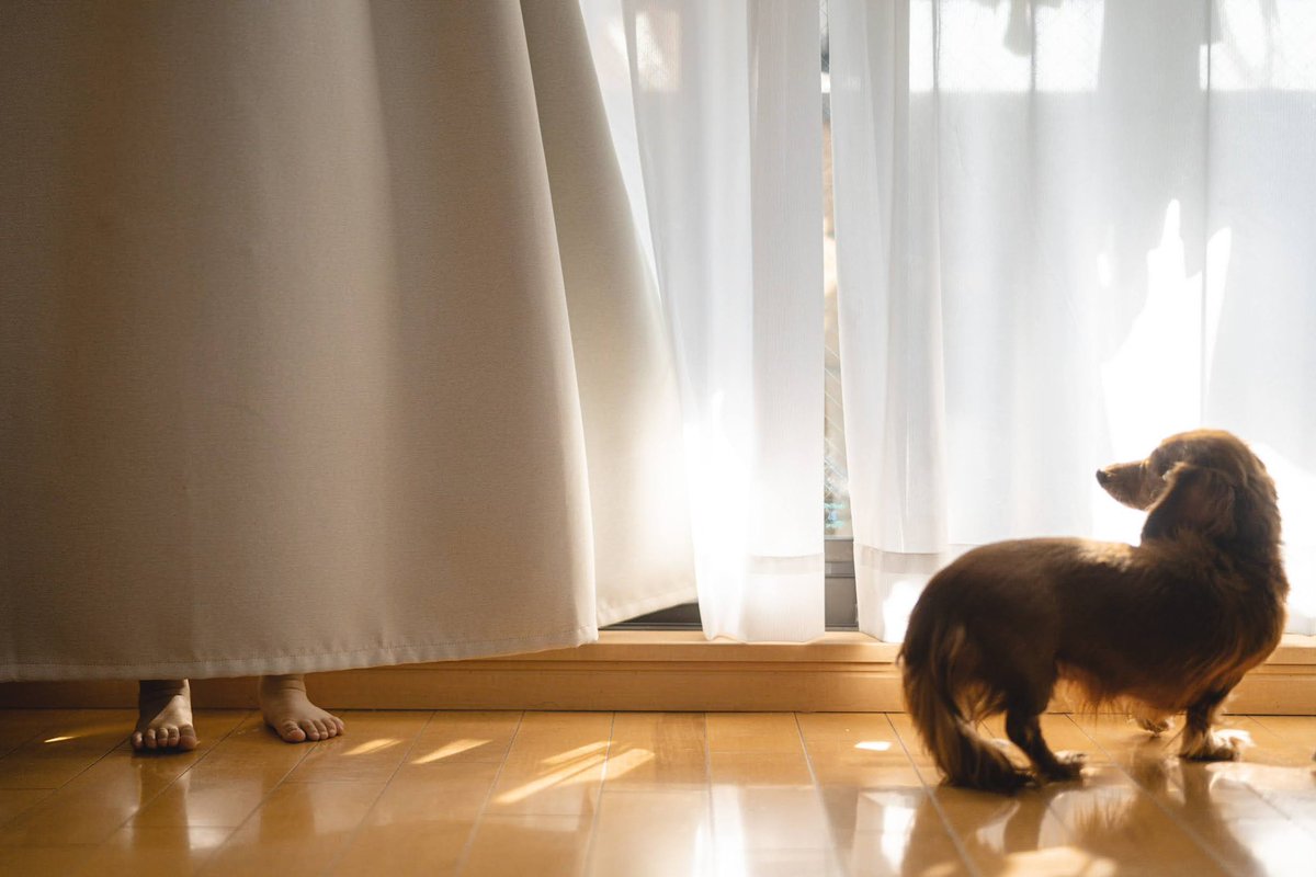 BusseCamera's tweet image. one day