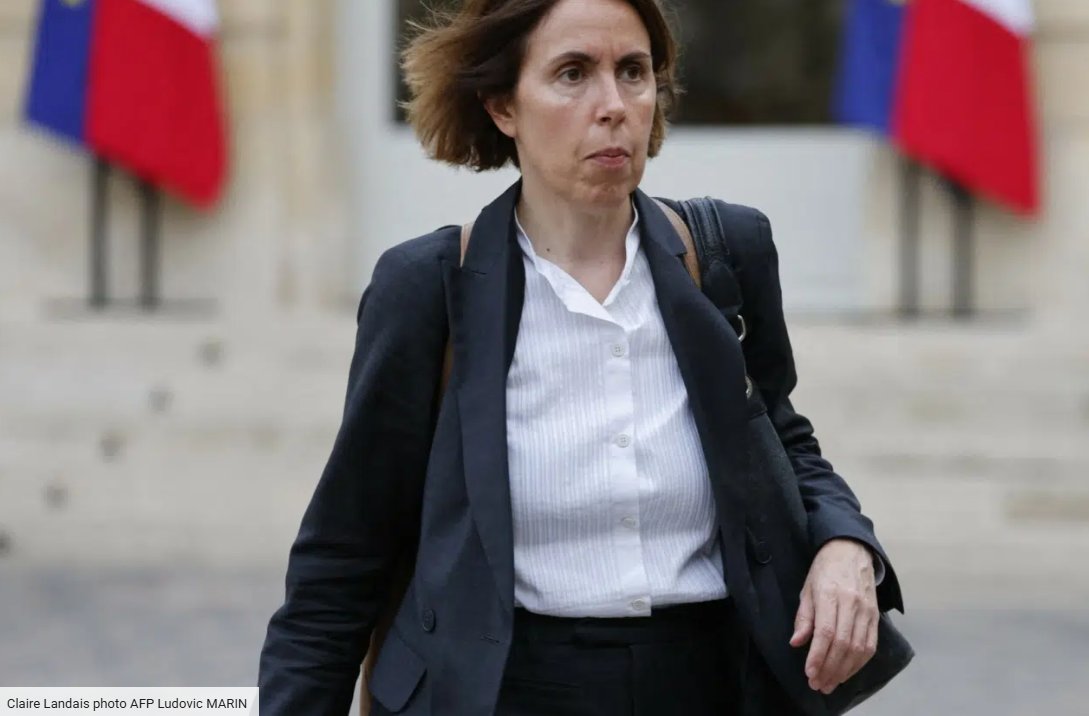 sceneweb tweet media