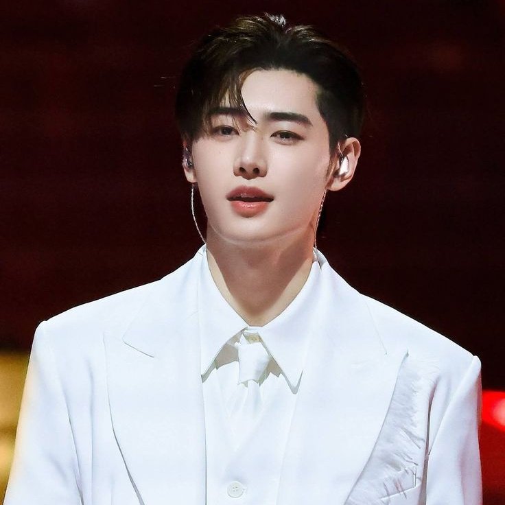 TheePopCore's tweet image. Hudson Williams, Connor Storrie, and ENHYPEN’s Sunghoon are confirmed to participate as torchbearers at the upcoming Winter Olympics.