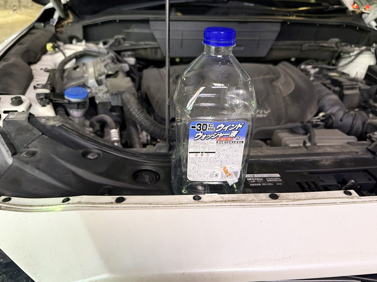 写真家 井上嘉代子/Kayoko Inoue tweet media