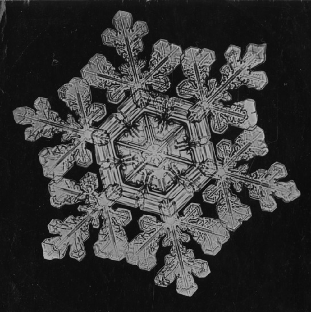 Qor parchasi

Bir qamoqxona hovlisi. Qish. Tun. Tashqariga chiqadi. Hamma narsasini yo‘qotgan bir odam. Ishonchlari vayron bo‘lgan. Qadriyatlari chilparchin. Ichi bo‘m-bo‘sh. Va qor yog‘yapti.

Kichkina, olti burchakli kristallar yuziga tegmoqda. Sovuq. Mas’um. Hech narsa