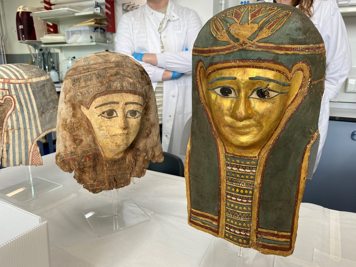 The Egypt Exploration Society tweet media