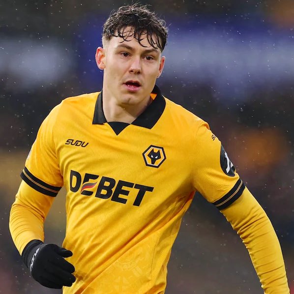 Talking Wolves tweet media