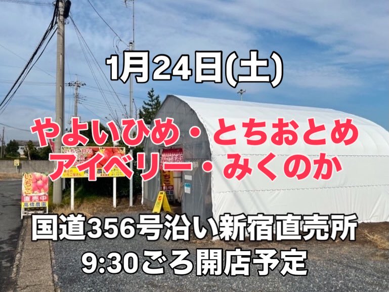 農園(ハウス)の営業は、収穫作業等に人を割いているため、販売は一時