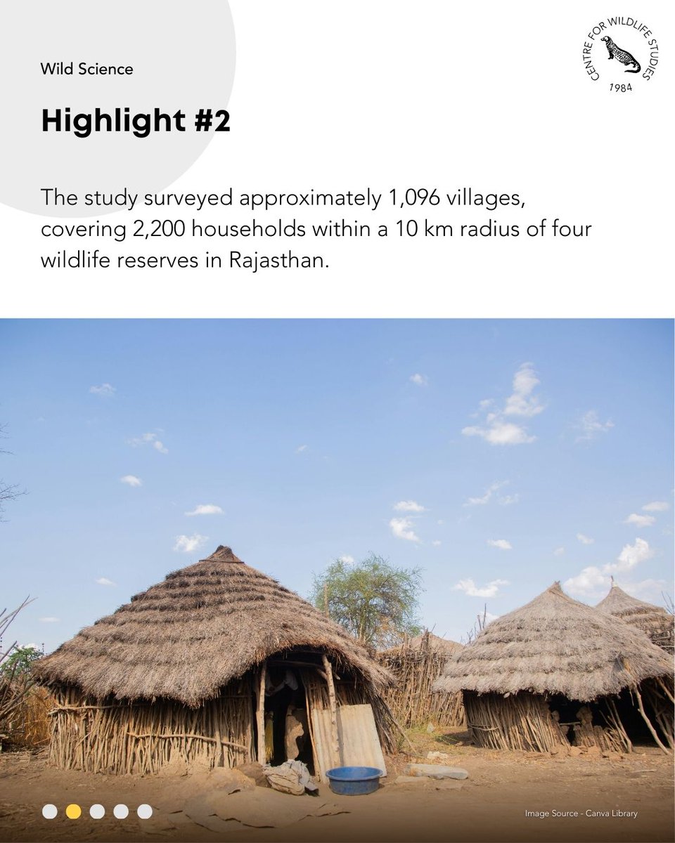 cwsindia's tweet photo. Learn more about the risks that communities in reserves near Rajasthan face, and what factors shape their perceptions of wildlife. Read more on our blog at https://t.co/rhCtBsiLwR
#HumanWildlifeInteraction #ProtectedAreasIndia #WildScience #LivingWithWildlife https://t.co/VMwMVgH9zH