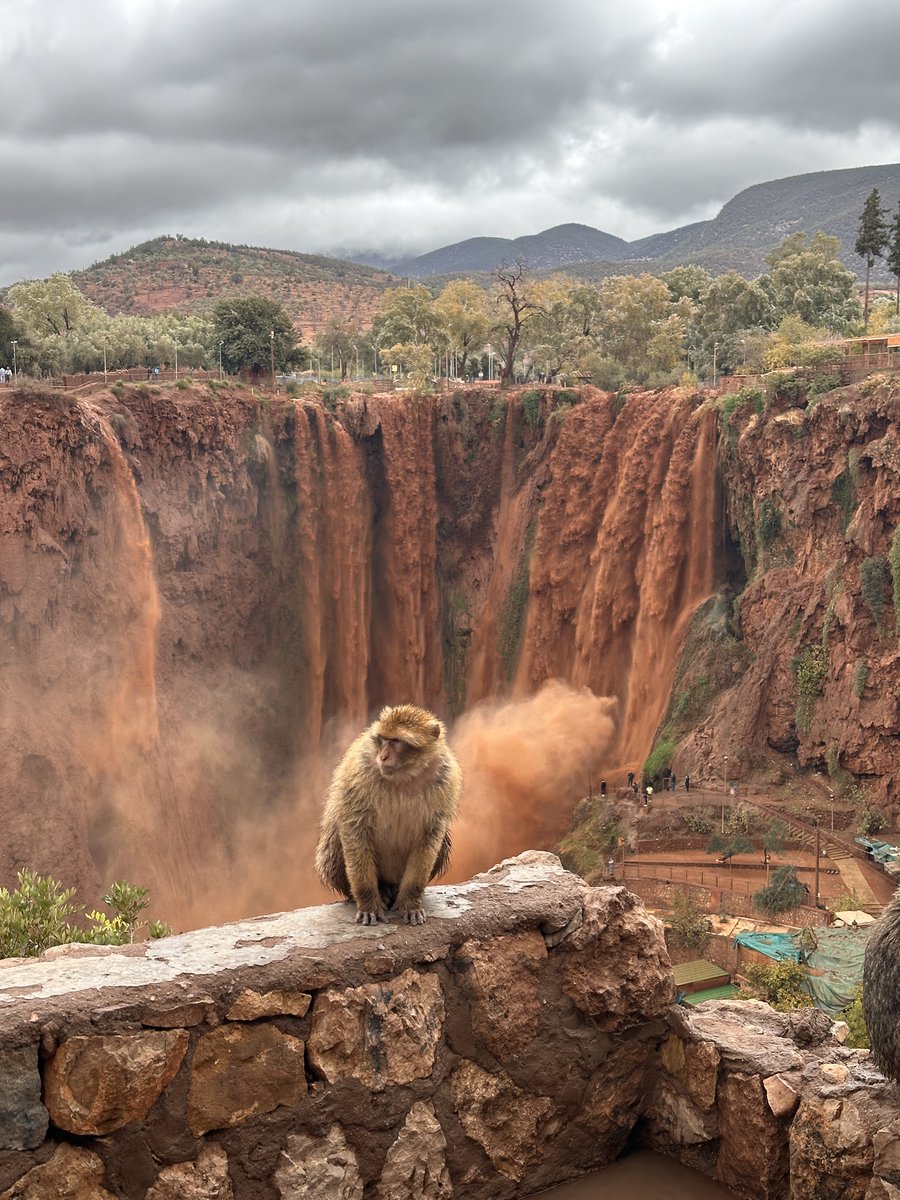 ouzoudfall's tweet photo. This is not AI. This is Ouzoud Falls 💧🇲🇦
#Ouzoud #Morocco #Nature #Travel https://t.co/CvisxNVODw