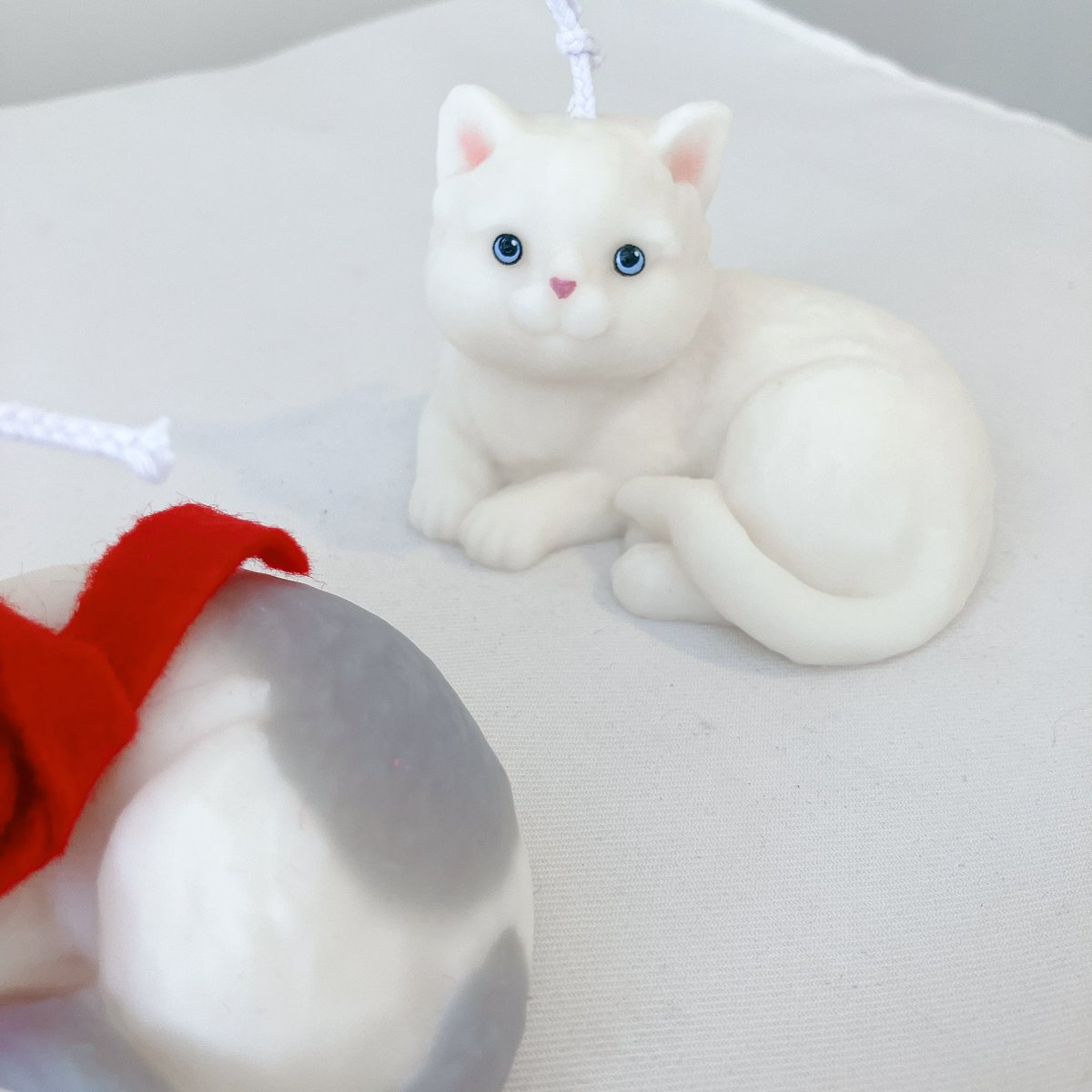 แมวใหม่อ๊วมอ้วม มีแมวใครหน้าแบบนิม๊ายยยยย