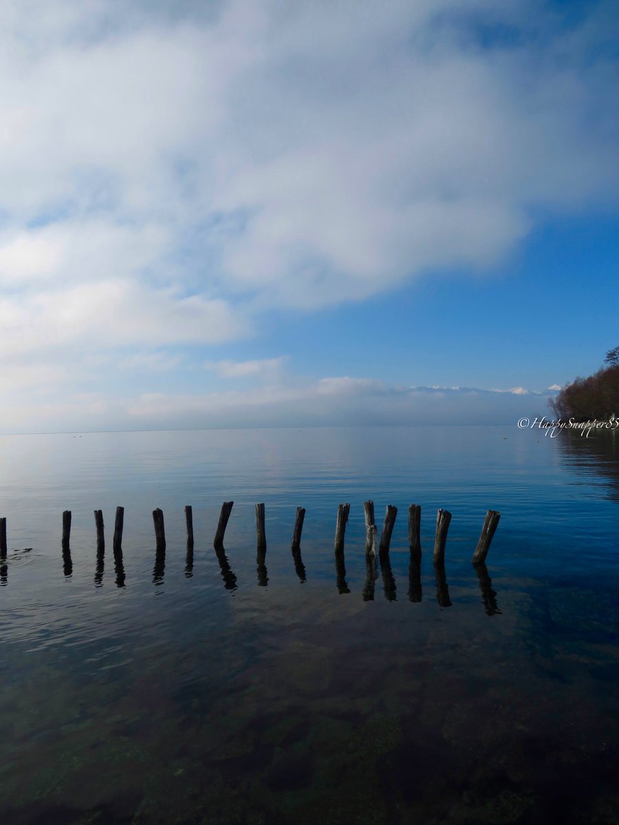 Happy Friday, my friends!