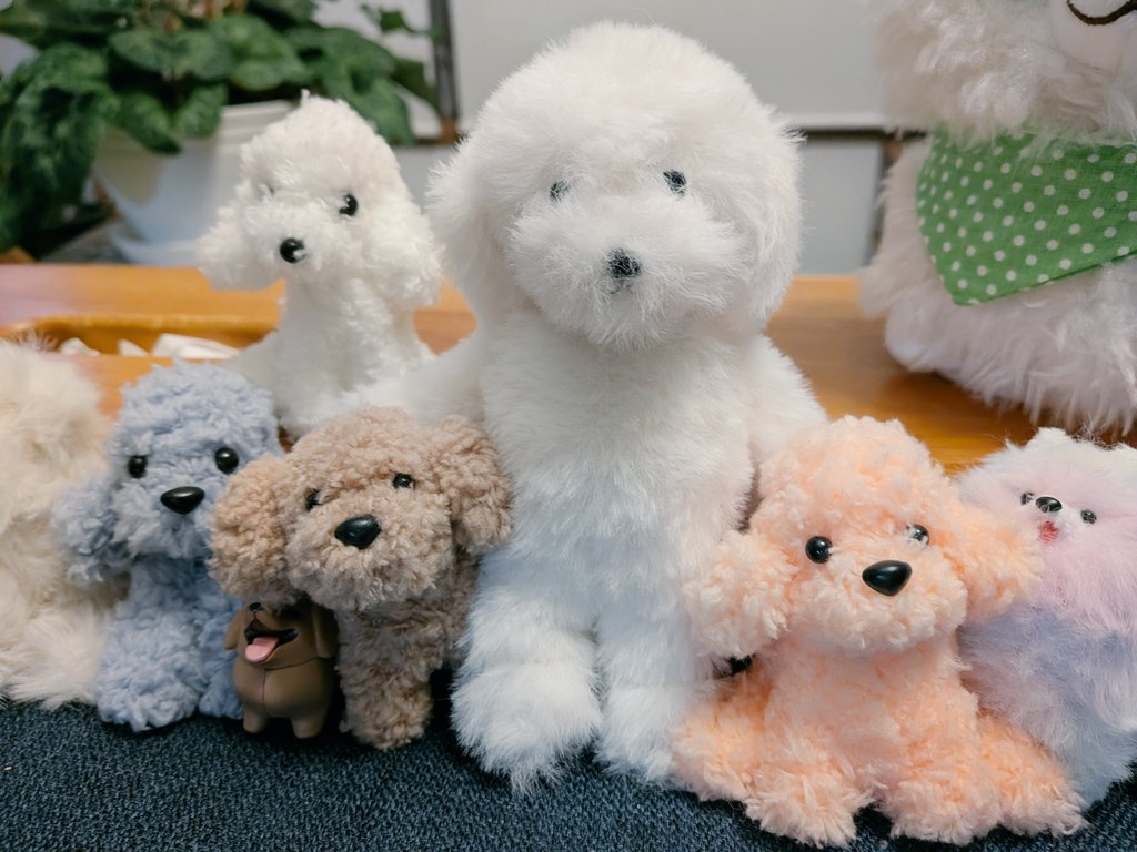 あちゃこ (@anzuko818) / Posts / X