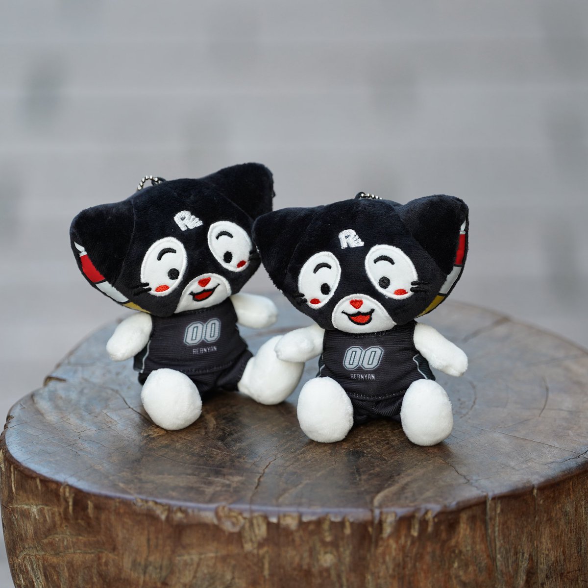 れぶにゃん(鹿児島レブナイズ)【公式】 (@rebnyan) / Posts / X