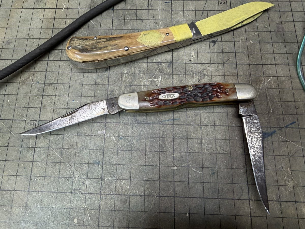 まほ〜 tweet media