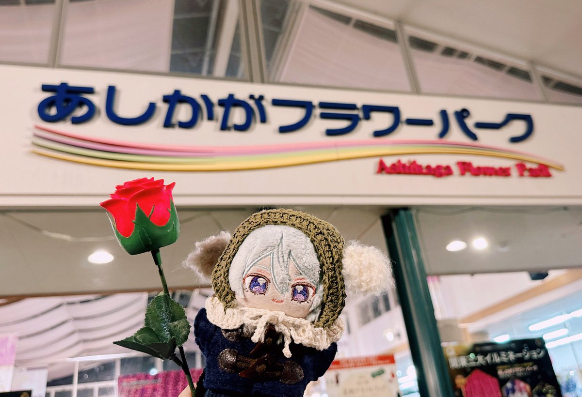 春🌸 tweet media