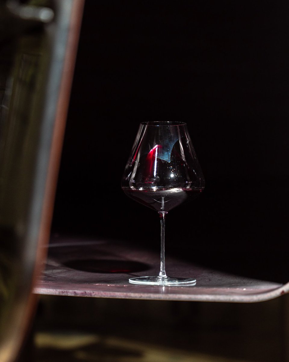 Todo en orden. Estamos a punto de lanzar una mencía sobresaliente…