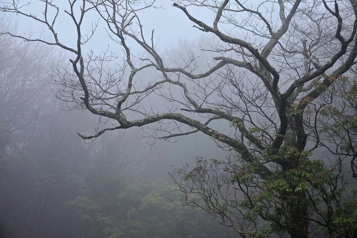 8703photography (@8703photography) on Twitter photo 