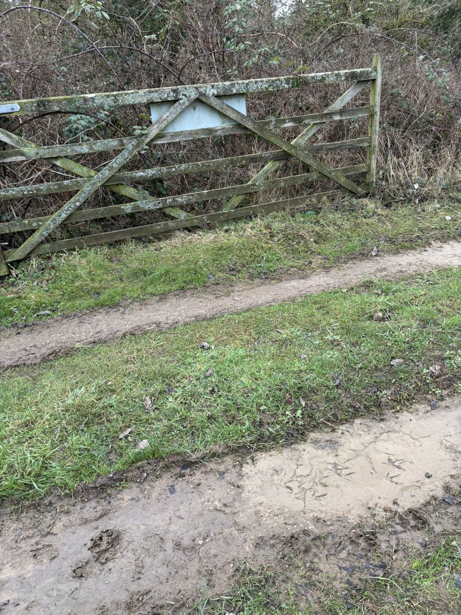 katejenkinson's tweet photo. @YorkshireWater your site is open and very unsafe for public &amp; animals. Suggest you sort it out. Padlock on the floor. Gate open. https://t.co/4DdWQypDrc