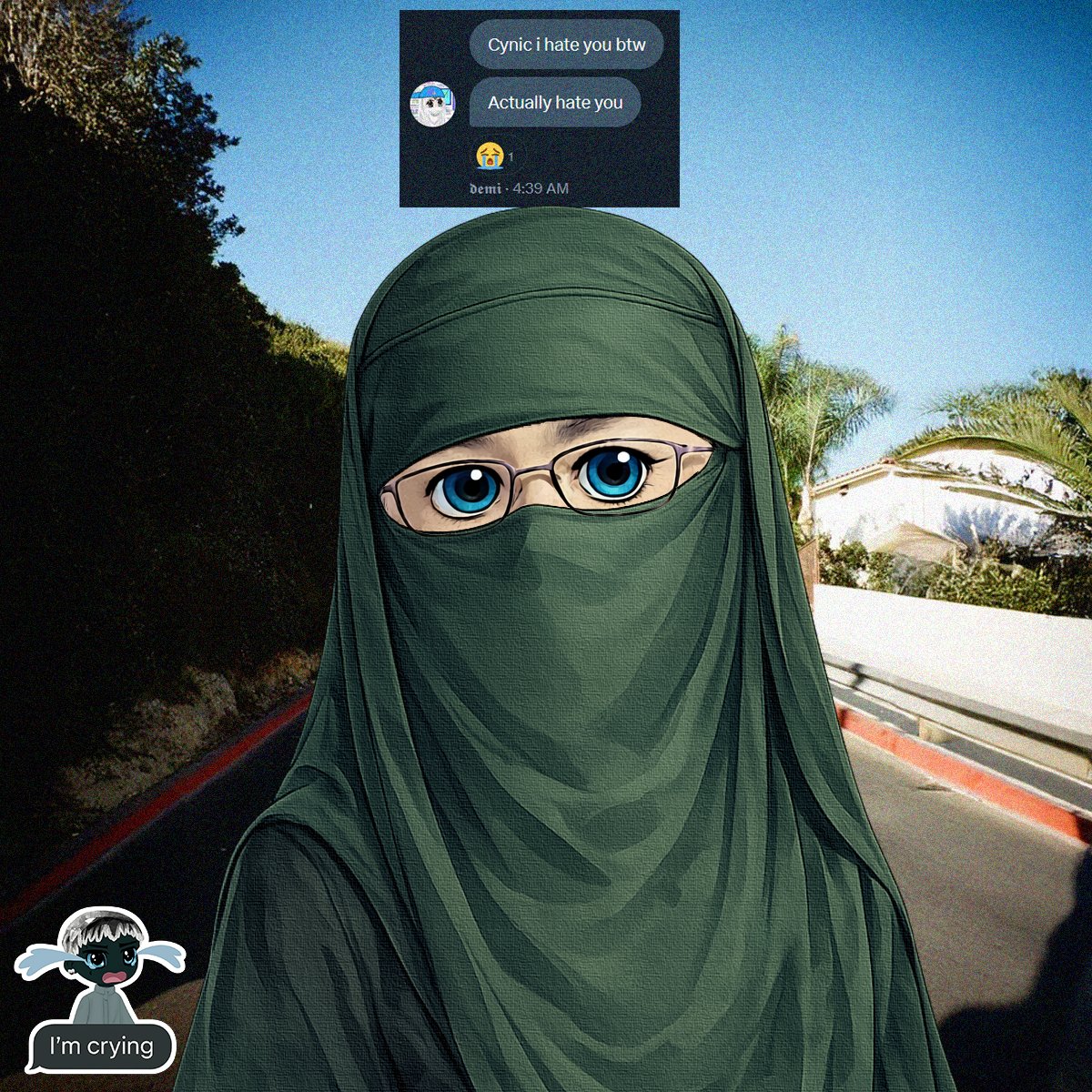 ImmutableCynic's tweet image. CZio Non-Fungible Tokens by @ImmutableCynic (the Only Artist on Hyperliquid)