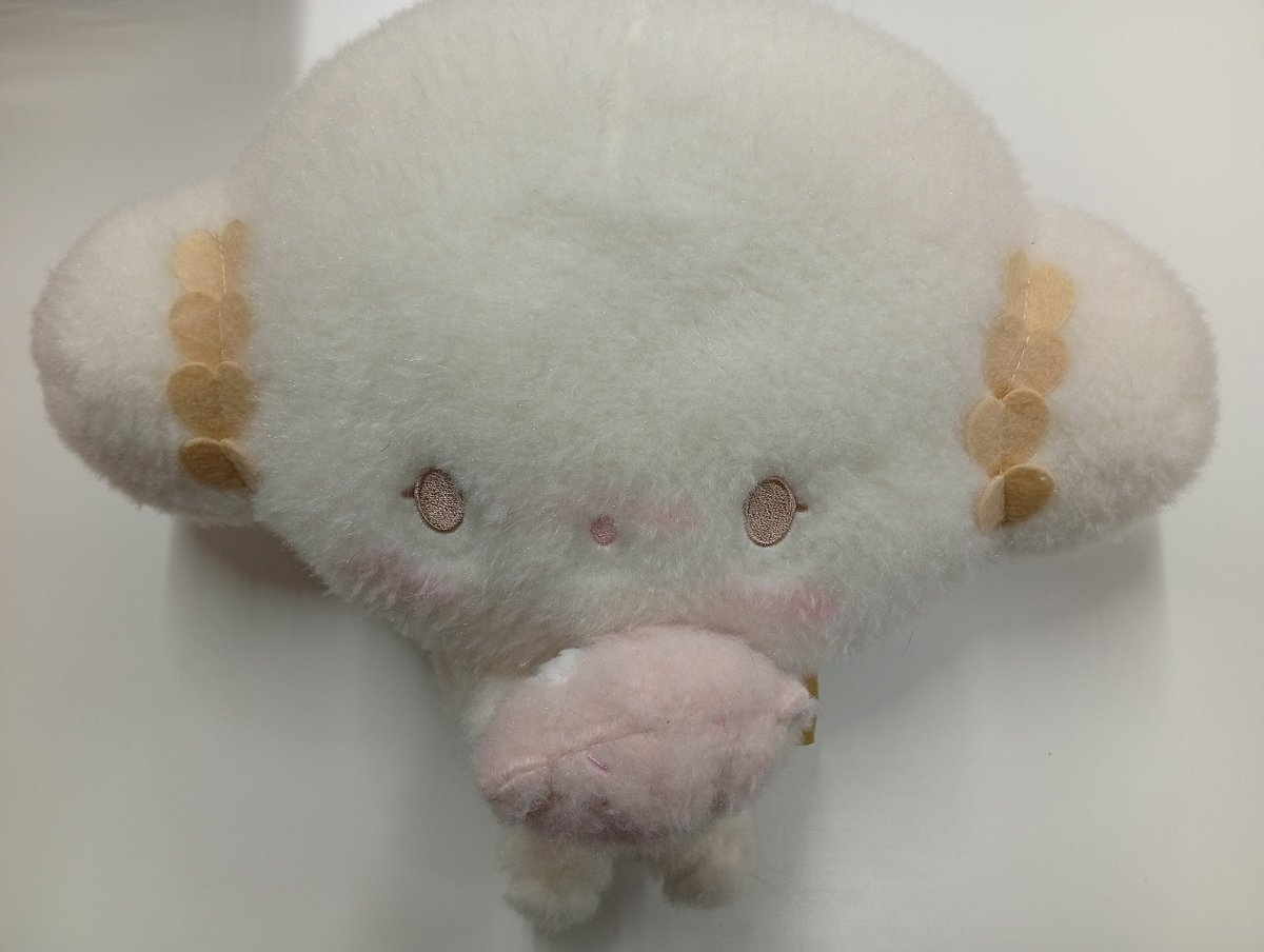 入荷情報】 『#サンリオ』 💛こぎみゅん💛 手作りくまさんシリーズ