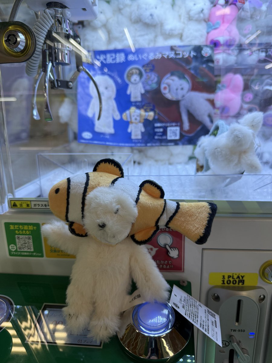 asapN0k1's tweet photo. 犬ゲトれてﾊﾋﾟｰ https://t.co/weOVxA7LP3