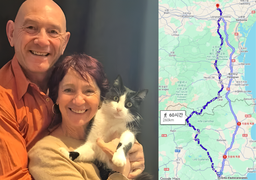 “주인 찾아 260km 국경 질주” 5개월 만에 고양이가 돌아와
n.news.naver.com/mnews/article/…
필루가 스페인에서 프랑스까지 도보 기준 260km에 달하는 거리를 어떤 경로로 이동했는지는 구체적으로 확인되지 않았다.  

명견 아니 명묘