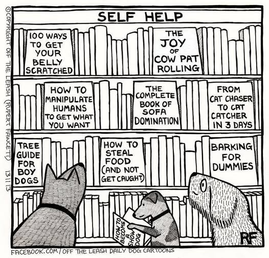 Slinky Pants & Fuzz Ball (@fly_mist) on Twitter photo 