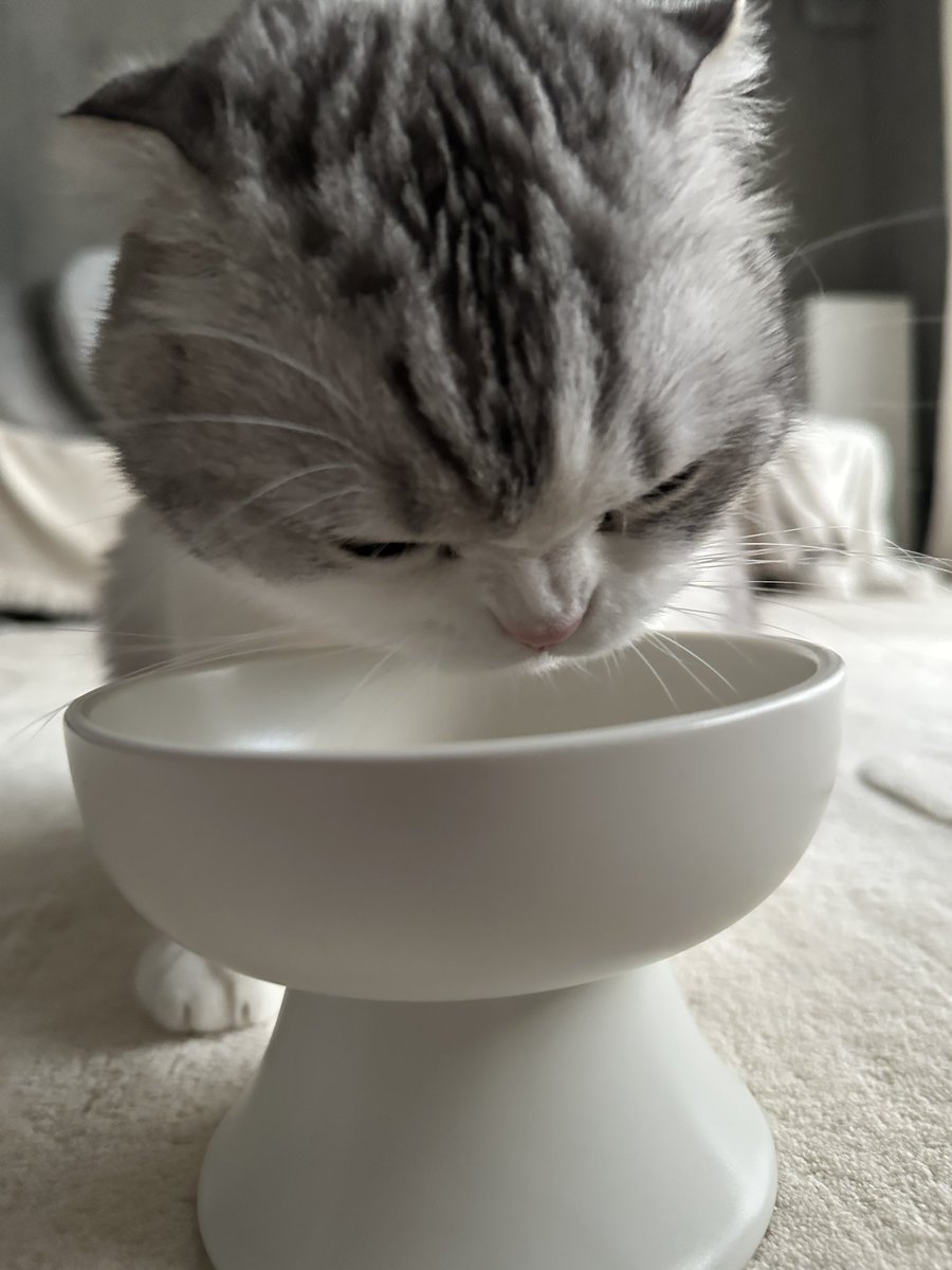 むしゃむしゃ😋