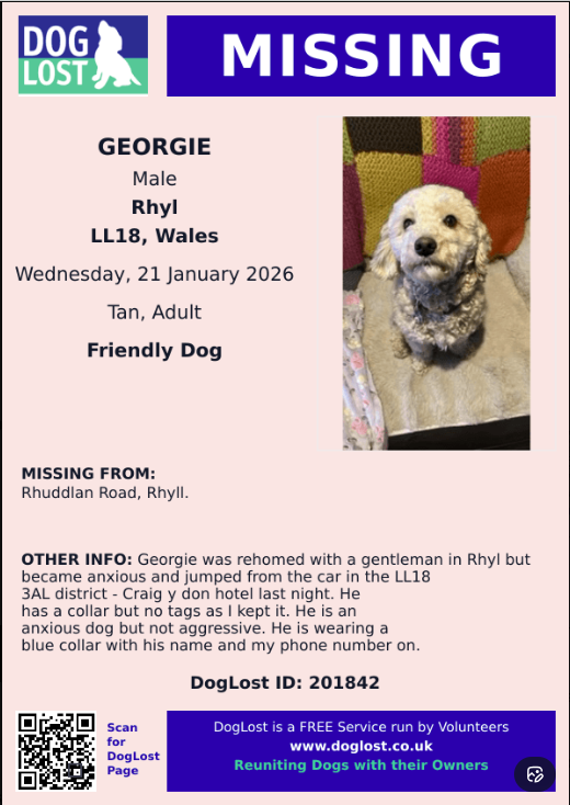 misc_endeavours's tweet image. 🆘 URGENT!   

GEORGIE  is  LOST  in an area he doesn't know.

CRAIG Y DON hotel area  -  RHYL   LL18 3AL  region

PLEASE LOOK OUT FOR HIM - check places where he may be sheltering AND CHECK DOOR CAM FOOTAGE