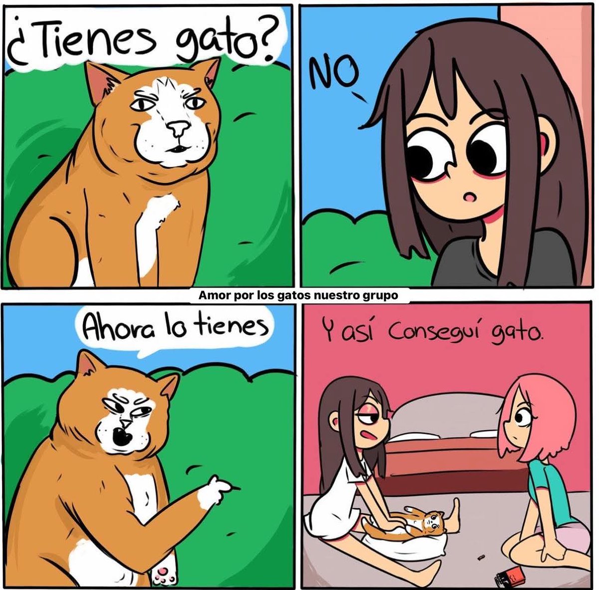 ☃️Oki Spooky Navideña🎄🎃🍁 tweet media