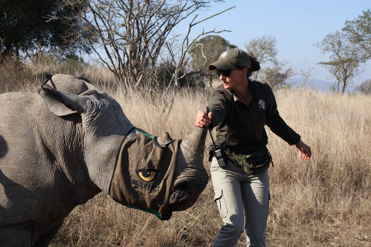 WildlifeACT Innovations tweet media