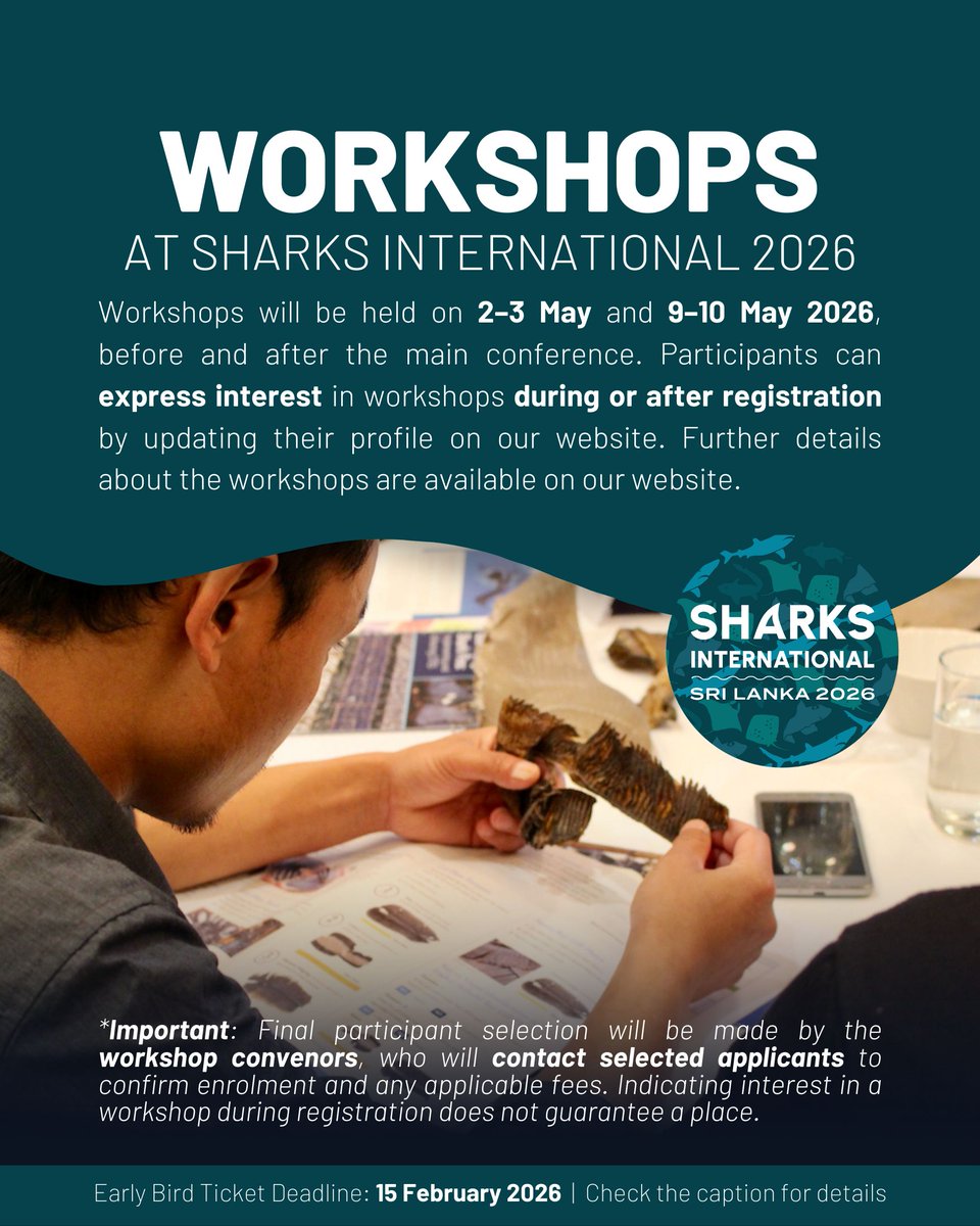 Sharks International 2026 tweet media