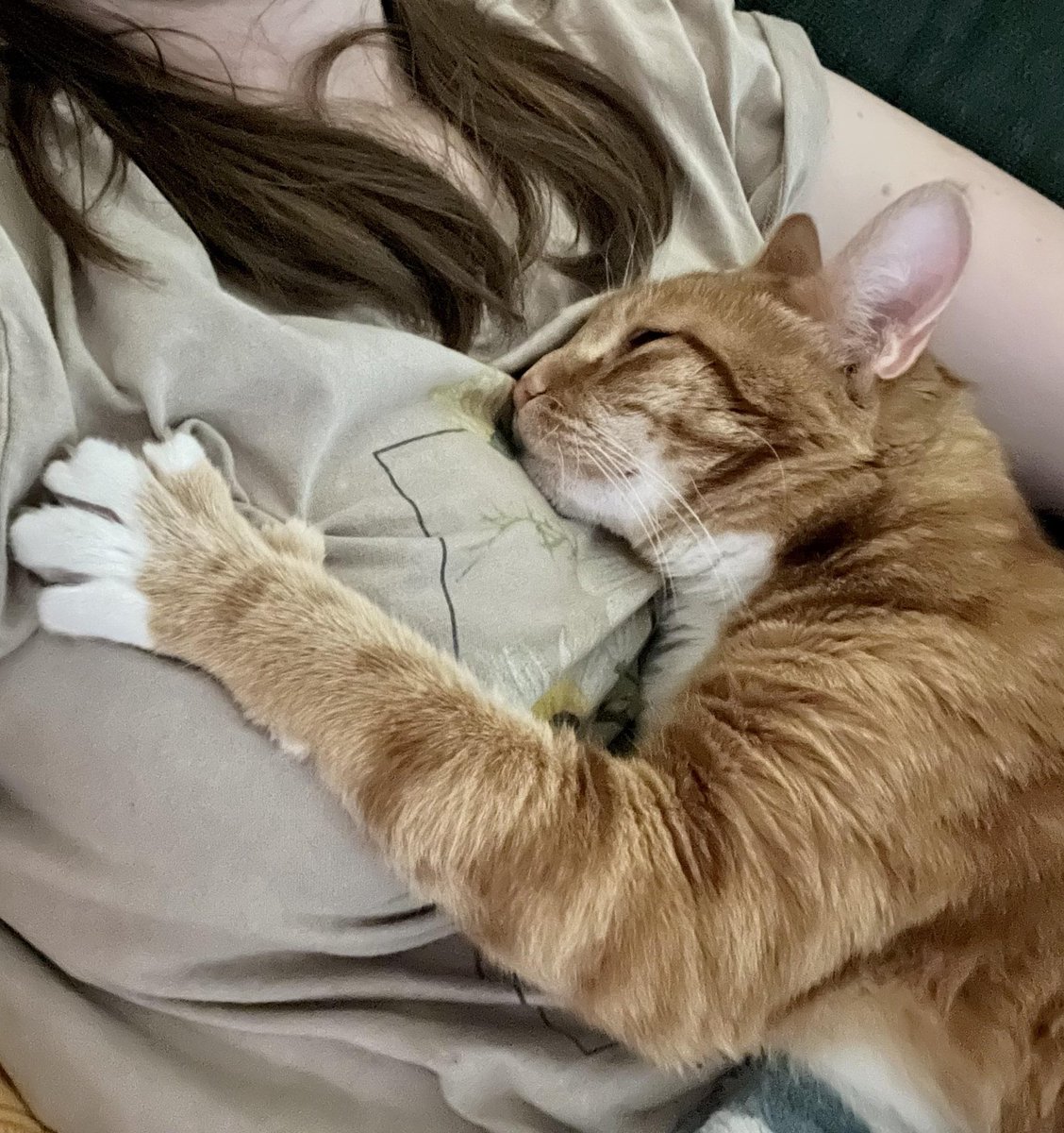 Kediler neleri hatırlar?

• Kokunuzu:
Ayrıldıktan 1–2 yıl sonra bile.

• Travmatik bir olayı:
Ömür boyu...

• Mamanın yerini:
Eve geldiği ilk günden itibaren.

• Favori oyuncaklarını:
Aylarca kaybolsa bile.

• Sesinizi:
Tanır ve onunla rahatlar.

• Veteriner yolunu:
Nereye