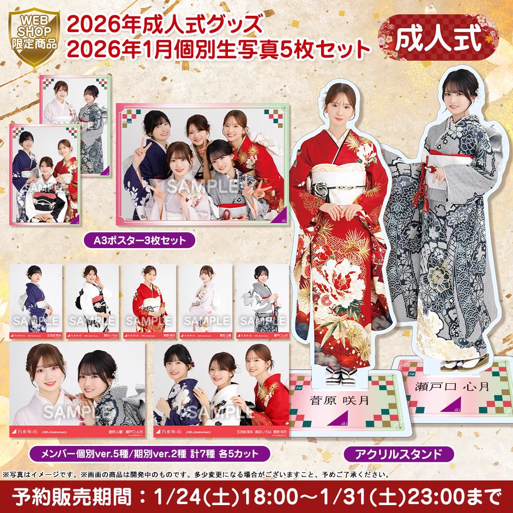 活動歴および当時の関連ビジュアル記録
