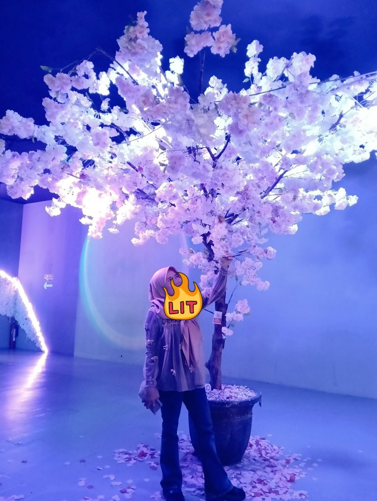 Ready exc,inc,vcs rr lngsung ketelen atau wa cek dbio bebs