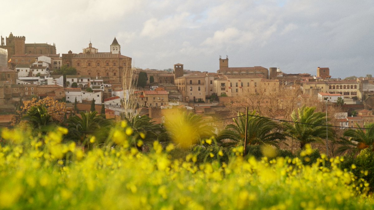 Winwin Audiovisual tweet media