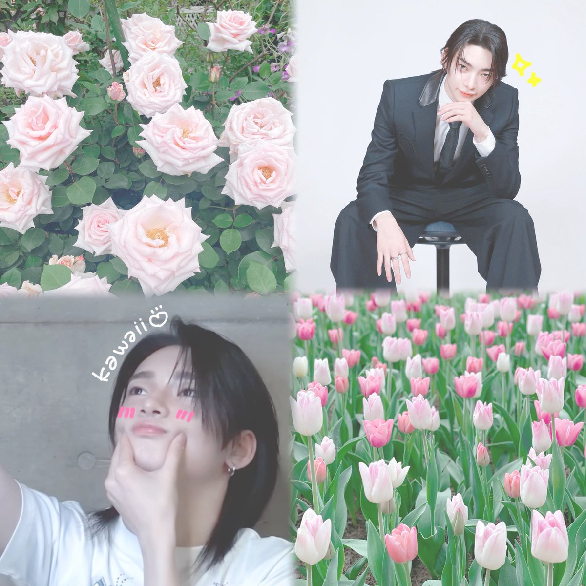 🐈‍⬛ の ん ☺︎︎︎︎🩷 tweet media