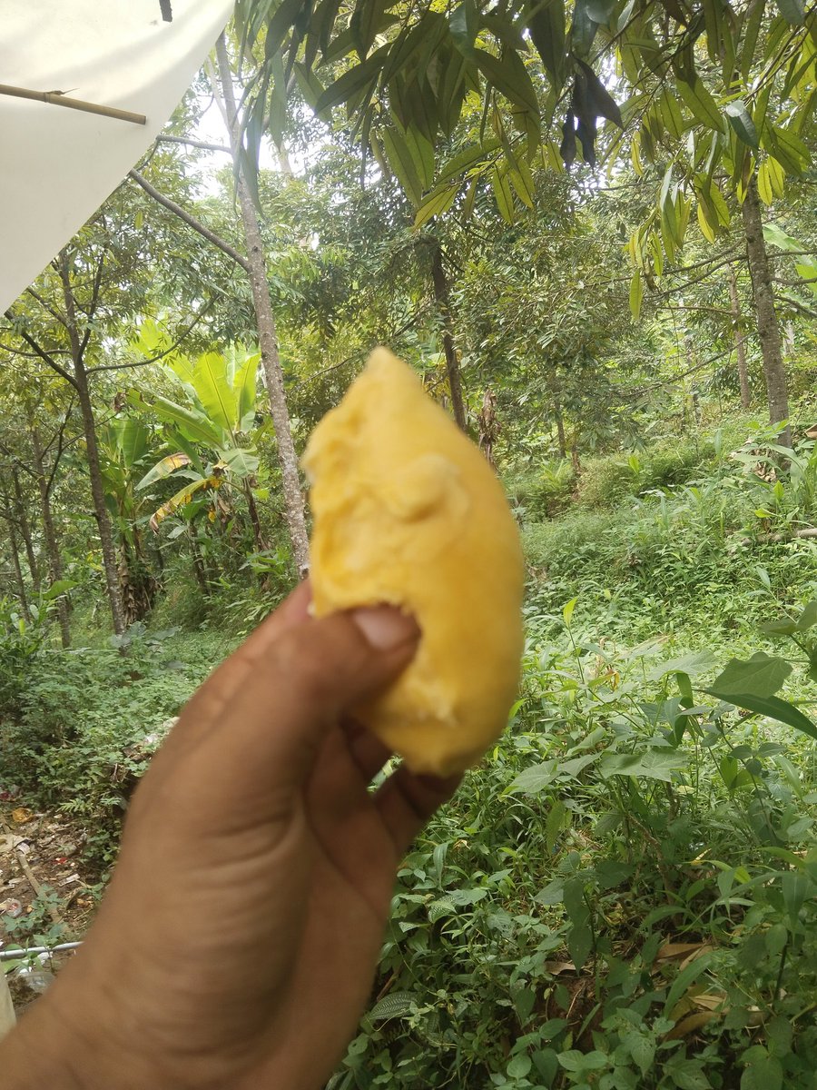 Santo bibit duren (@ketilengsanto) on Twitter photo 