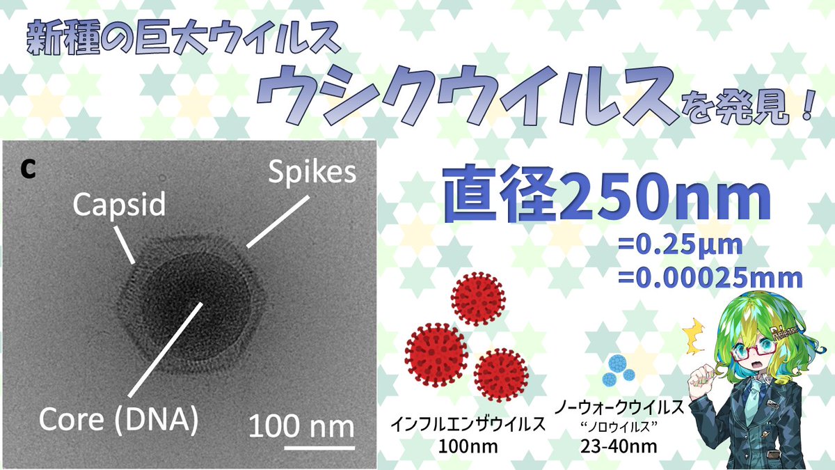 lab_brains's tweet image. 新種の巨大ウイルス「ウシクウイルス」を発見！　真核生物の進化の謎を解くカギになる？
lab-brains.as-1.co.jp/enjoy-learn/20…

茨城県の牛久沼から発見された新種の巨大ウイルス「ウシクウイルス (Ushikuvirus)」について、詳しく解説します！ぜひご覧ください！

@Science_Release