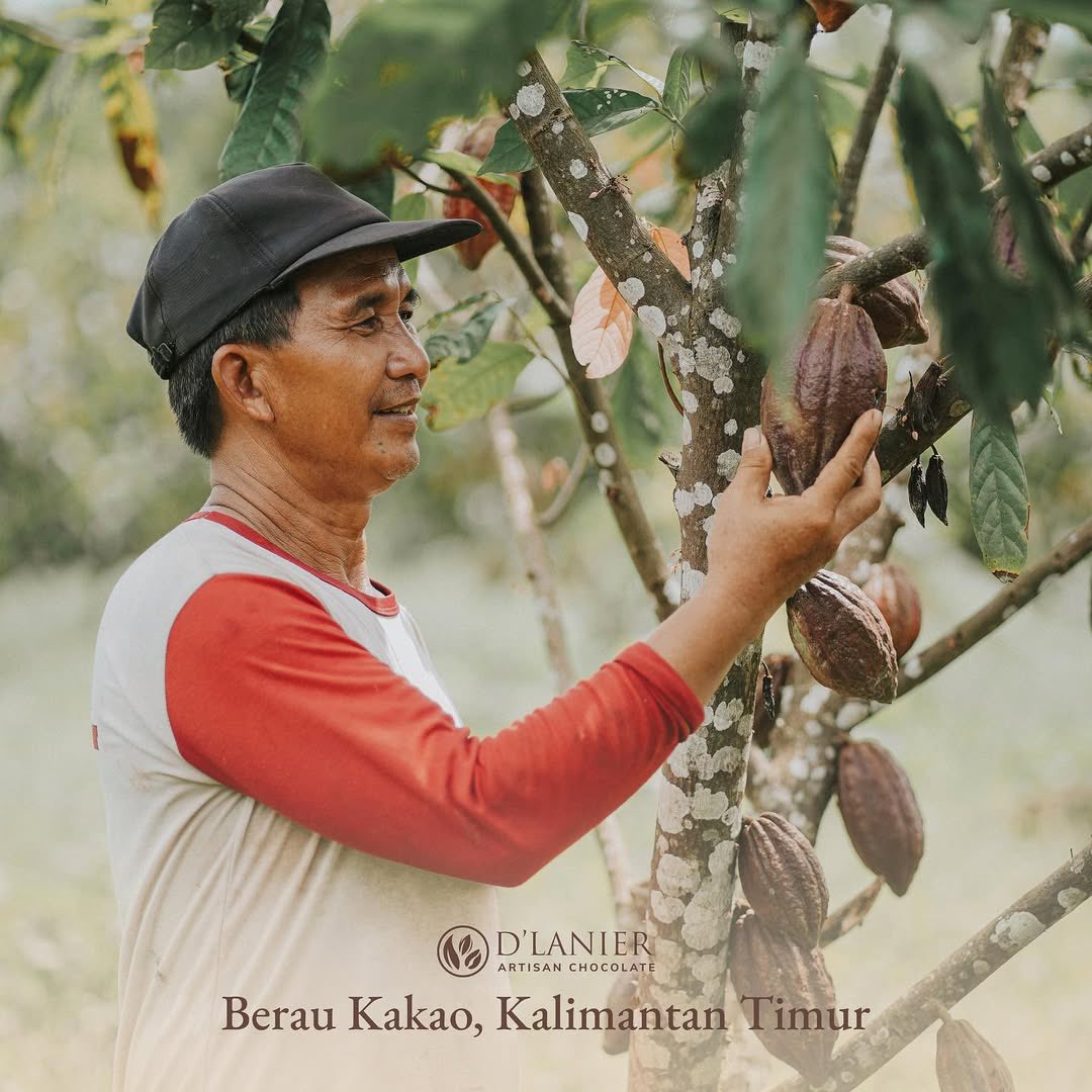 i’m literally SUNGKEM over this cokelat brand indo… KAKAO nya asli KALIMANTAN TIMUR + support petani lokal. keren bgt woy🥺🤍