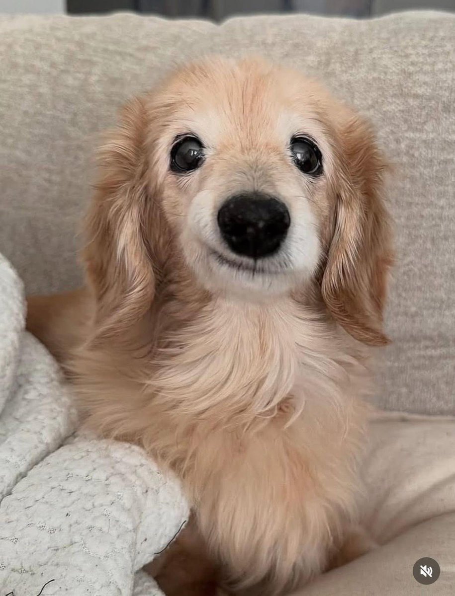 Emma Dolan tweet media