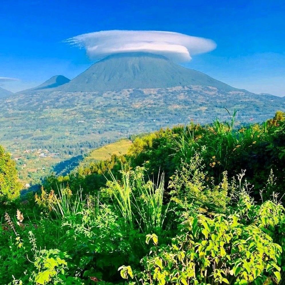 SahihiT's tweet image. Good morning 4m the #volcanoesnationalpark,  Are u in #Rwanda &amp;amp; want to meet the mountain #gorillas? Book with us @SahihiT to discover more #Lifestyle. #visitrwanda #SahihiAfricaTours #travel #Africa 

📩sahihiafricatours@gmail.com 
Web: sahihiafricatours.com 
+243 981 442 728