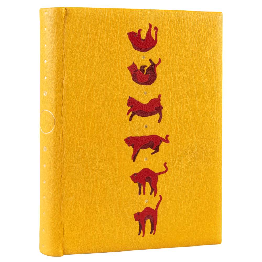 St Catharine's College tweet media