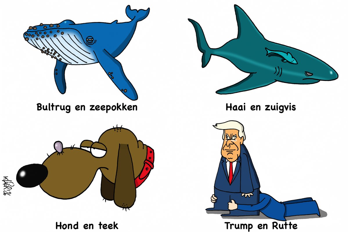 #trumpgreenland #rutte