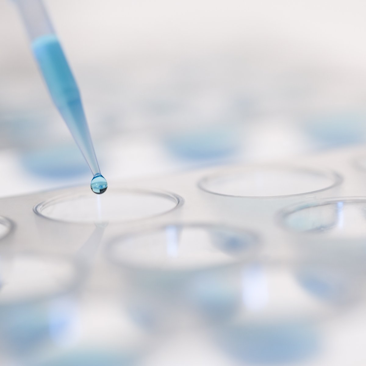 Spain continues to strengthen its leadership in clinical research across Europe. Progress in rare diseases and advanced therapies is especially encouraging, and highly relevant to the work we do at <a href="/CSL/">CSL</a>. 

A strong infrastructure and the ability to attract multinational trials