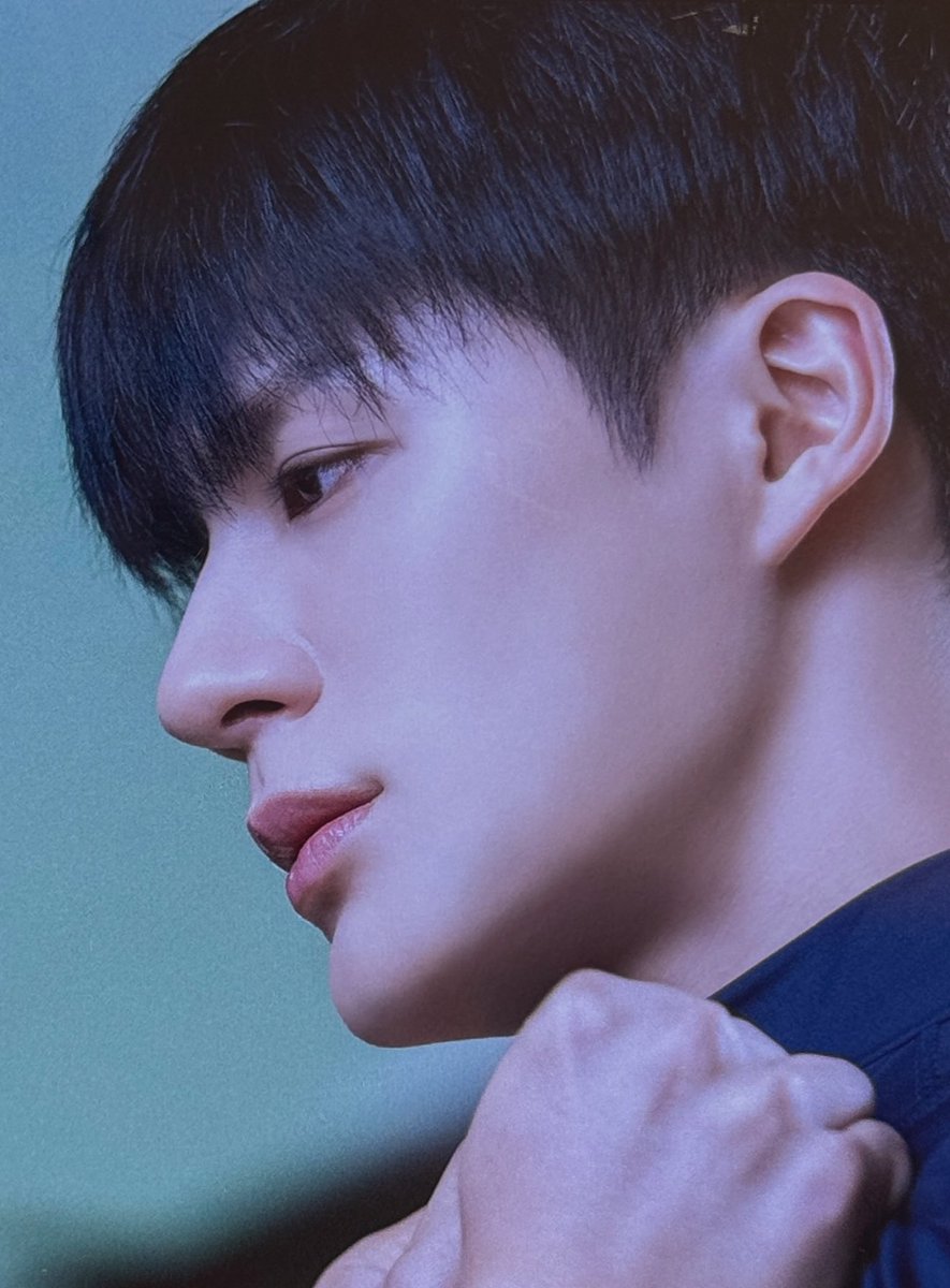 콧대 입술산 입꼬리