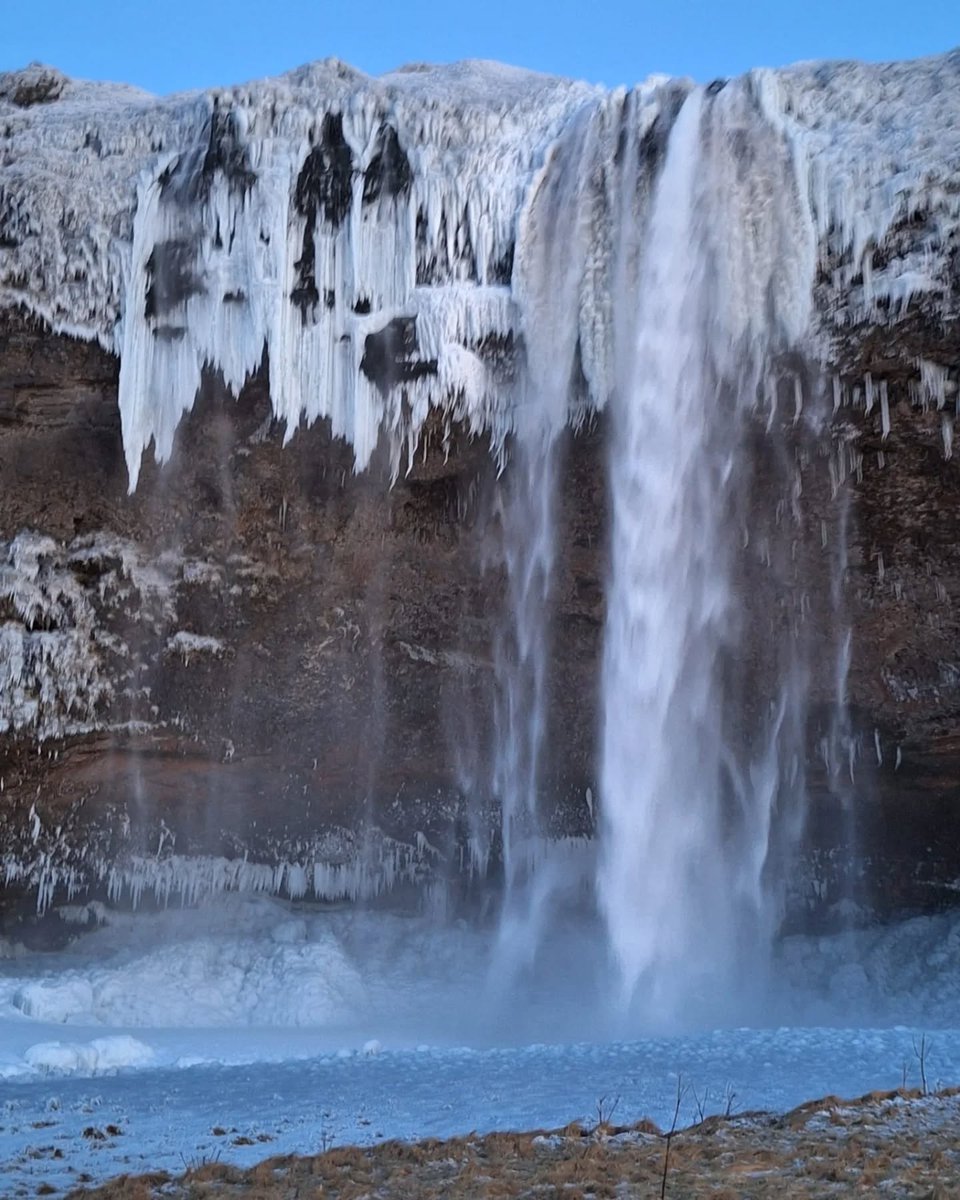 BusTravel Iceland tweet media