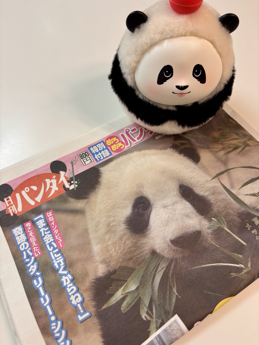 パンダ•*¨*•.¸♬︎ ニューパンダはパンダじゃなかった？今や初代よりも希少な2代目パンダ