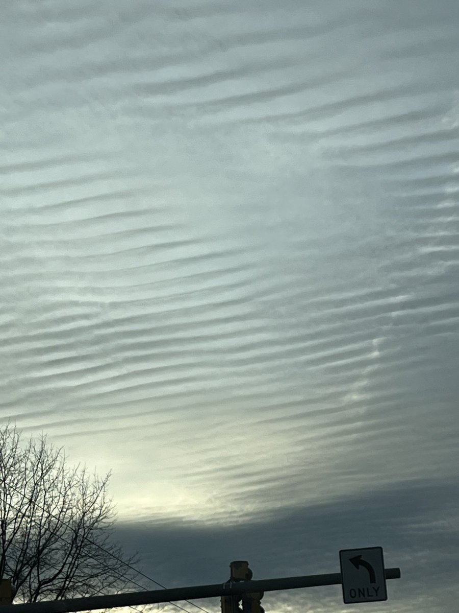 TinaG_tlp's tweet image. The are using a lot of chemicals on us