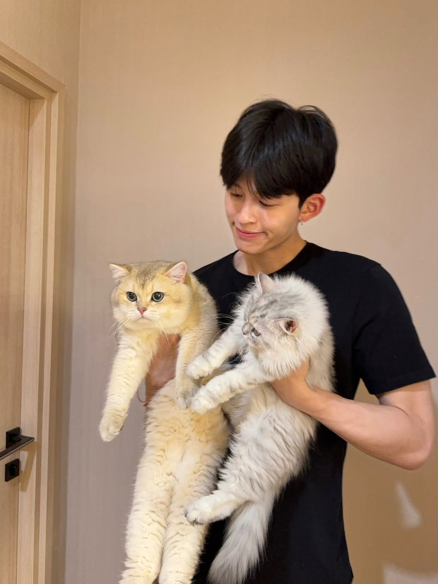 doublepjourney_'s tweet image. เหมียวเหมียวโซคิวท์ 😺🐾

📸 IG : @ppnaravit

#ppnaravit